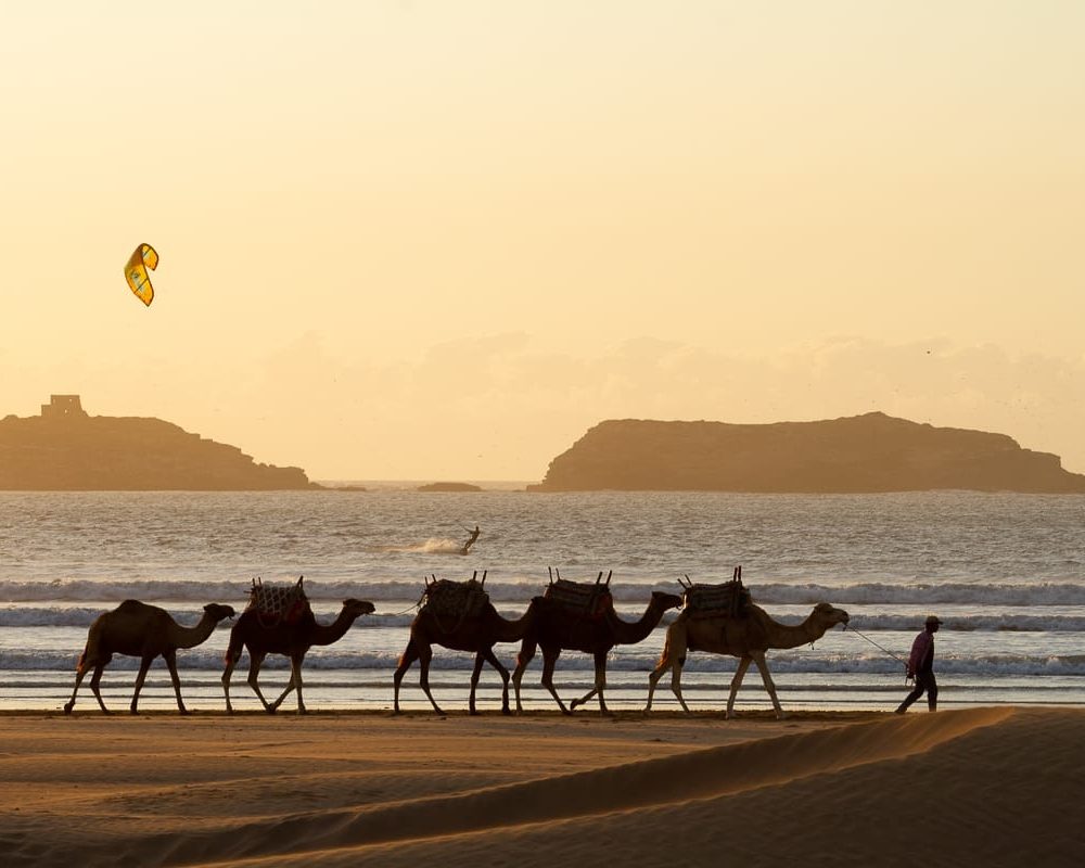 essaouira-travel-blog-cover-image