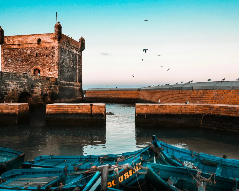 rigel-No_Y3bn4lNQ-unsplash-scaled.jpg