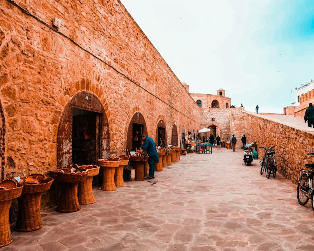 rigel-ibisQEDxODo-unsplash